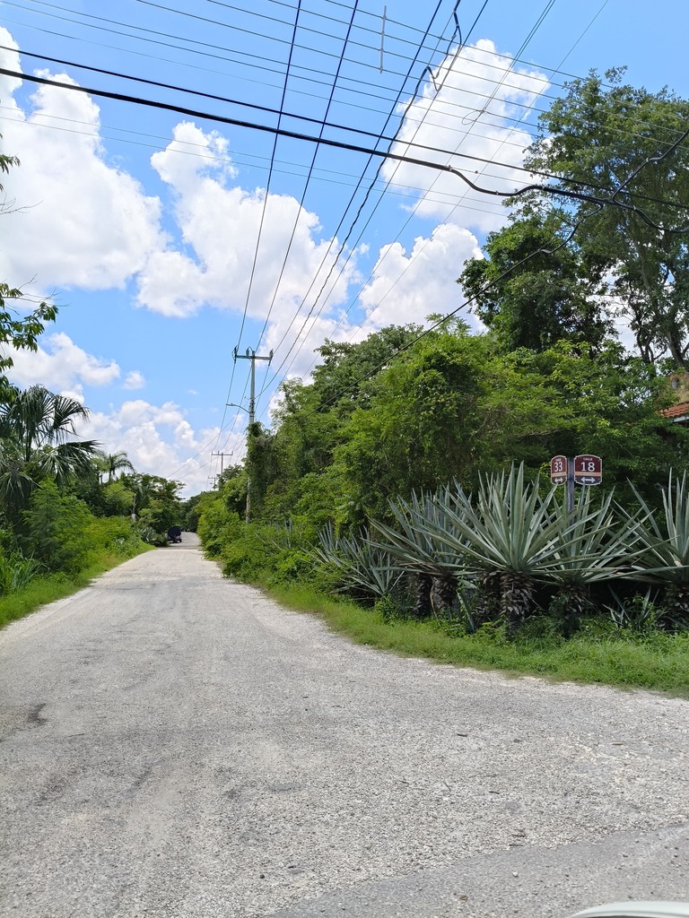 Los Árboles