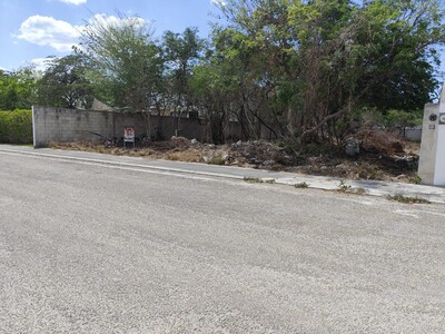 Fenced Lote in La Rejoyada