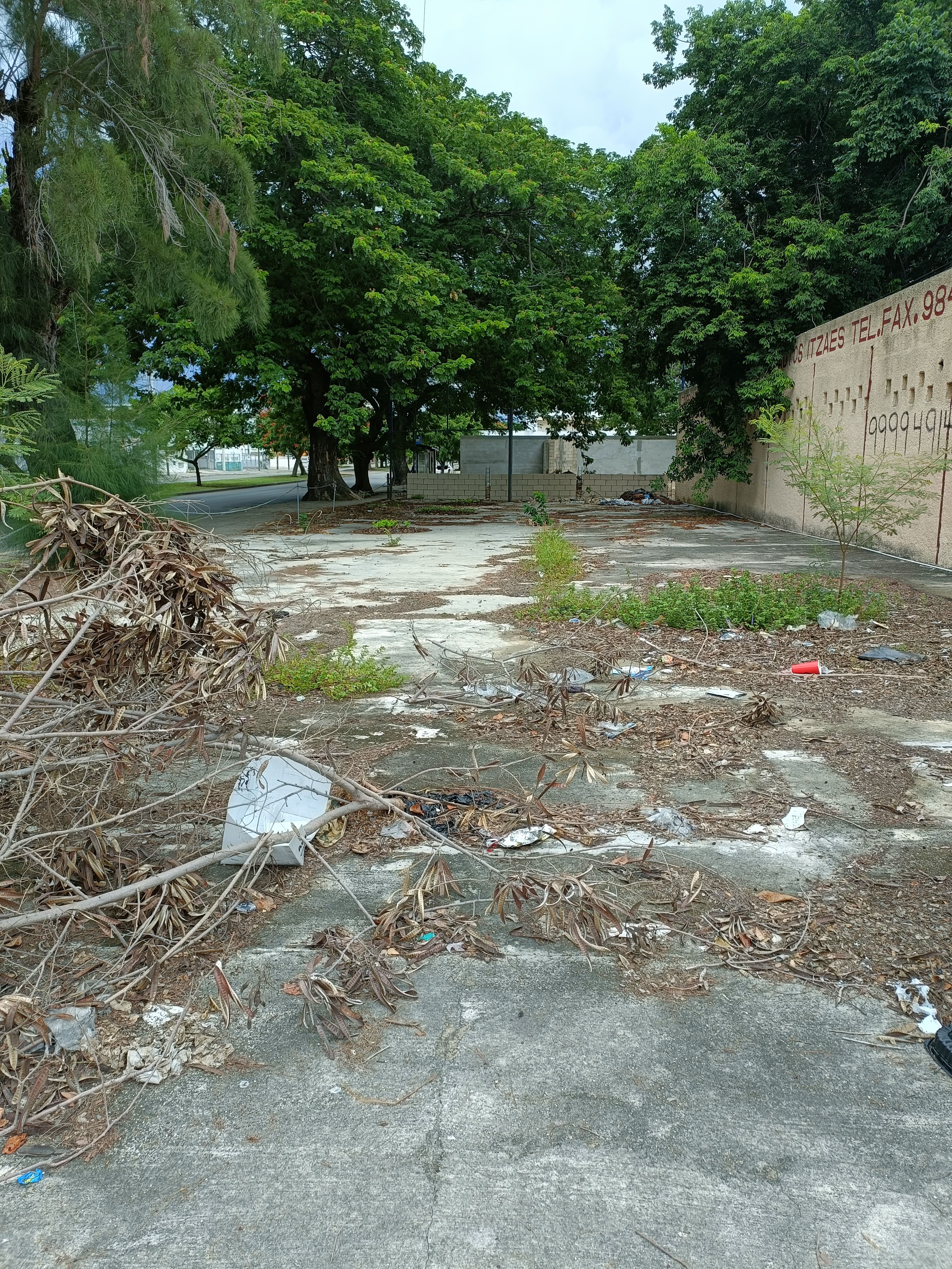 Terreno en Esquina sobre Itzaes