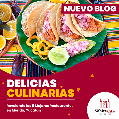 Delicias Culinarias: Revelando los 5 Mejores Restaurantes en Mérida, Yucatán