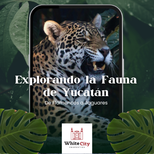 Explorando la Fauna de Yucatán: De Flamencos a Jaguares