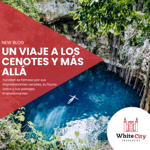 Explorando las Maravillas Naturales de Yucatán: Un Viaje a los Cenotes y Más Allá