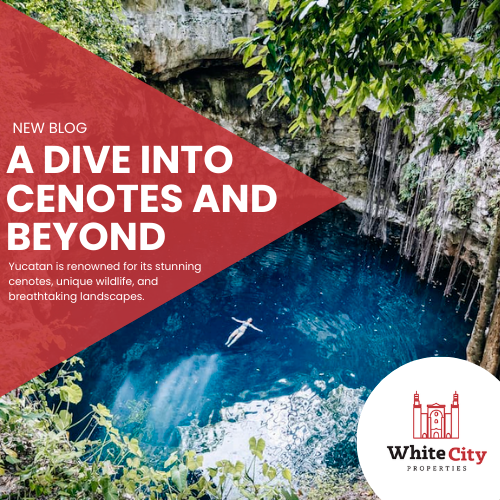 Exploring the Natural Wonders of Yucatán: A Dive into Cenotes and Beyond