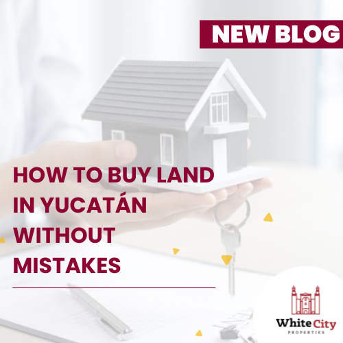 How to Buy Land in Yucatán Without Mistakes