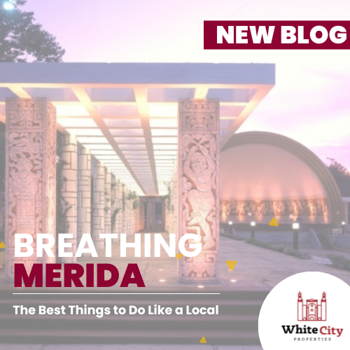Living in Mérida: The Best Things to Do Like a Local