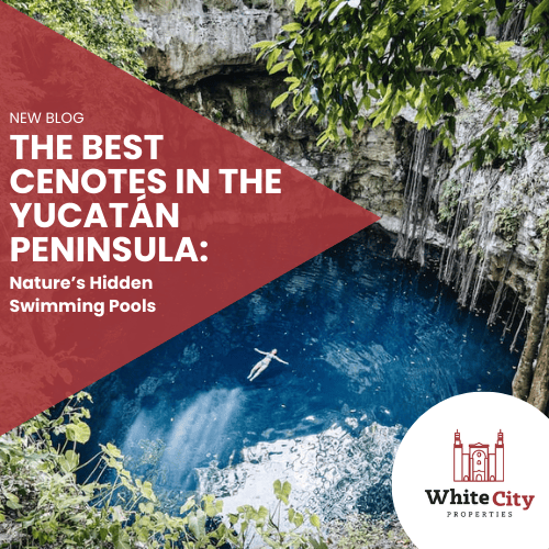 Los Mejores Cenotes de la Península de Yucatán: Las Piscinas Naturales Escondidas de la Naturaleza