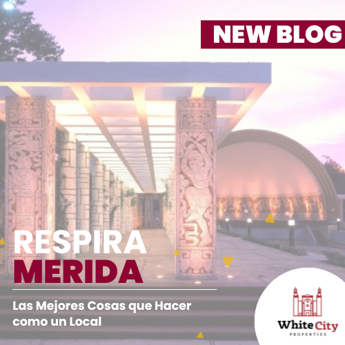 Viviendo Mérida: Las Mejores Cosas que Hacer como un Local